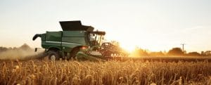 Combine harvesting on a wheat field